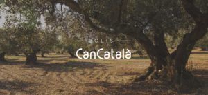 Olis Can Català